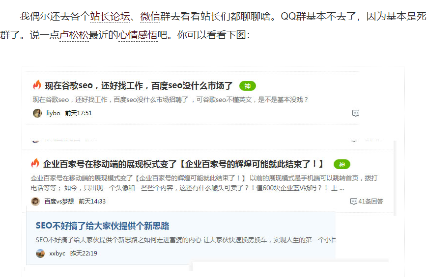 卢松松说,2022年是seo行业凋谢的一年