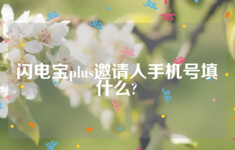 闪电宝plus邀请人手机号填什么?(最佳回答)